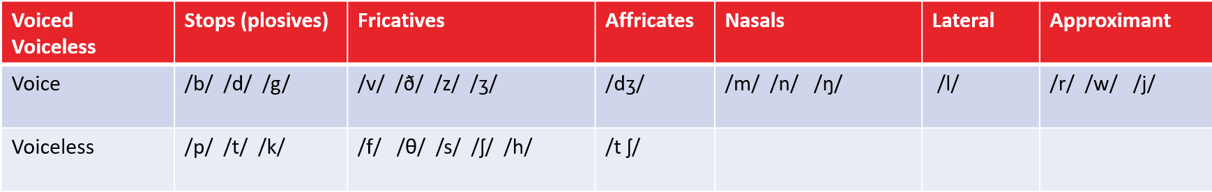 paires de consonnes vocales et sans voix